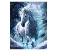 RONGCH Wall Art Canvas Prints Fantasy Horses Poster Magic Natural Animals Fantasy Prints Canvas Painting Wall Art Pictures Home(F,40x60cm)