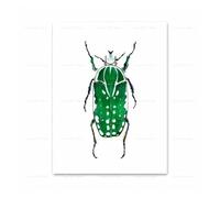 RONGCH Wall Art Canvas Prints Watercolor Blue Beetle Ladybug Colorful Insect Posters Prints Modern Wall Art Canvas Painting For Living Room Home Decor(F,20x30cm)