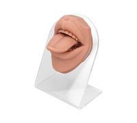 rongweiwang Human Mouth Tongue Simulation Model For Jewelry Display 3D Silicone Soft Flexible For Effective Instruction Piercing Practice Body Parts For Jewelry Display