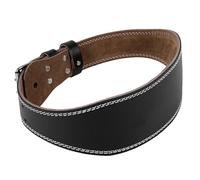 rongweiwang Lumbar Back Support Belt Gym Fitness Adjustable Is Designed To Performance Supporting Back During Strength Training And Weightlifting Powerlifting Belt Double Prong Bodybuilding Squat