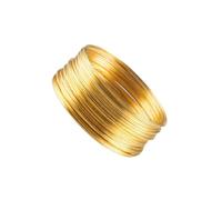 rongweiwang Memory Beading Wire For Bracelet Necklace Making With 50 Loops Jewelry Wire Versatile DIY Crafts For Bead Projects Memory Steel Earrings DIY Crafts Cuff Bangle, Gold