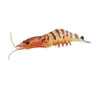 rongweiwang Prawn Toys Collection Educational Figurines Realistic Model Gifts For Children Discovering Sea Life Wonders Simulation Prawn Figures Toys Collection Model