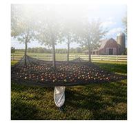 Rongyewxae Fruit Collector Harvesting Net, with Export Hoop and Loop Side Rope Strap Fruit Catching Net Heavy Duty Reusable for Olive, Walnut, Apple, Pecan,Square-13×12.5ft(4×3.8m)