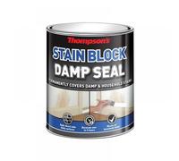 Thompsons Damp Seal Tds25L 2.5L White