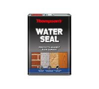 Skip19C Thompsons Water Seal Wbased 5L