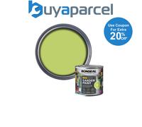 Ronseal 37388 Garden Paint Lime Zest 250ml