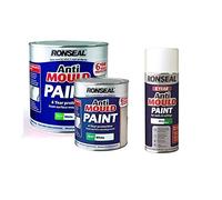 Ronseal 6 Year Anti Mould Paint Matt White 750Ml