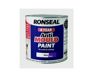 Ronseal 6 Year Anti Mould Paint White Matt 2.5L
