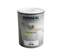 6 Year Anti Mould Paint White Silk 750ML
