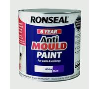 Ronseal Anti Mould Paint White Matt 2.5l