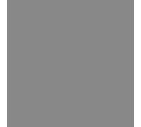 Ronseal Garden Paint Charcoal Grey 5L