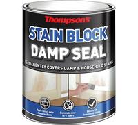 TDS250 250ml Thompsons Damp Seal