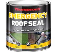 TERS1L 1L Thompsons Emergency Roof Seal