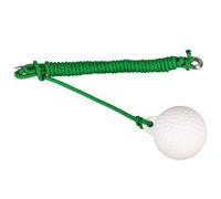 Ronyme Golf Swing Training Tool With Tethered Ball On Rope And Stake For Instant Trajectory And Swing Consistency suitable for backyard indoor zone beginners warm up