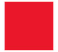Roof Spoiler Lip For Mitsubishi For Lancer For Evo Spoiler 2008-2015 Tail Wing Decoration Rear Trunk Spoilers Wing(RED)