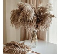 ROOLLYA 17 Inch 20 Stems Natural Pampas Grass Decor - Tall Fluffy Pompas Grass for Floor Vase - Boho Decor Home Wedding Event Decor, 2404-c15-30brown-45cm