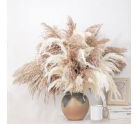 Roollya 20Pcs 28''Tall Natural Pampas Grass Decor - White & Natural Color Reed Grass Decoration 40 Flower Spikes Tall Reed Grass for Floor Vase Boho Decor Home Decor Wedding Decor Event Decor