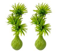 Room Decor by Flourish - MATCHING PAIR of Vases with Artificial Flowers - Lime Green - Perfect for Home Decor, Living Room, Bedroom or Bathroom Ornament. Exclusive to Delivery.