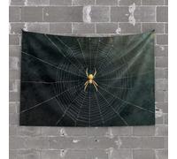 Room Door Decor A Spider Sits in The Center of Its Web Tapestry Tapastry'S Wall Hanging Room Accessories for Teen(100X150CM)