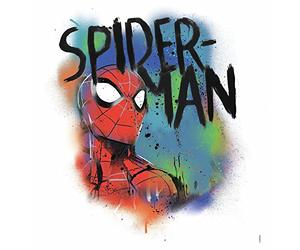 RoomMates Marvel Spider-Man Classic Graffiti Burst Giant Peel and Stick Wall Decals, RMK3618GM