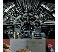 RoomMates RMK11458M 8M Star Wars Millennium Falcon Peel and Stick Wallpaper Mural-10.5 x 6 ft, Original