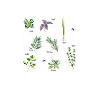 RoomMates Watercolor Herb Peel and Stick Wall Decals,Green, Brown, Purple