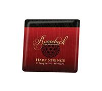Roos Ebeck Harp 22 String Set G/G
