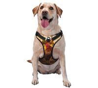 Rooster and Sunflowers X-Large Printed pet Traction Vest for Pets to wear When Walking The Dog or Climbing Mountains