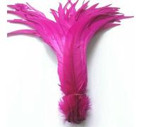 Rooster Coque Tail Feather 40-45cm/16-18" Rooster Feathers for Crafts Wedding Feathers Decoration DIY Carnival Plumas-Rose Red-20 Pcs