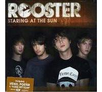 Rooster - Staring At The Sun