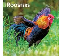 Roosters 2027 12 X 24 Inch (Hanging) Monthly Square Wall Calendar Plastic-Free: Original BrownTrout-Kalender [Mehrsprachig] [Kalender]
