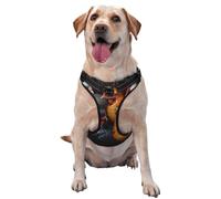 Roosters Dressed in Many Colors Medium Printed pet Traction Vest for Pets to wear When Walking The Dog or Climbing Mountains