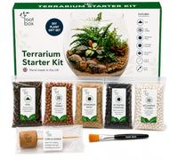 Root box *CLEARANCE Terrarium Plant Kit in scented giftbox | Succulents, Bonsai, Fittonia, Cactus | Unique DIY GIFT for Summer XMAS Birthdays