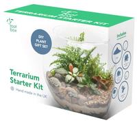 Root box Terrarium Plant Kit in scented giftbox | Succulents, Bonsai, Fittonia, Cactus | Unique DIY GIFT for XMAS Anniversaries Birthdays
