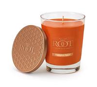 Root Candles Fall Scented Candles Honeycomb Veriglass Premium Handcrafted Beeswax Blend Candle, Large, Pumpkin Spice