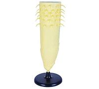 Root Profile Model - Plant Anatomy Model Root Profile Model - Educational Model Plant Root Profile Model - for Biology Teaching Study Display Tool (Color : A) (A)
