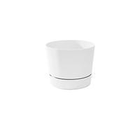 Root & Vessel Cylinder Pot, Matte White, 6.5-Inch
