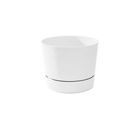 Root & Vessel Cylinder Pot, Matte White, 8.5"