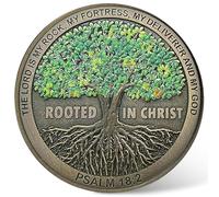Rooted in Christ Challenge Coin Embrace Faith and Strength Christian Pocket Token Bible Verse Worry Coin for Prayer