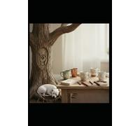 Rooted Women: Growing Through Grace: Book One: Finding Faith and Strength in Every Season