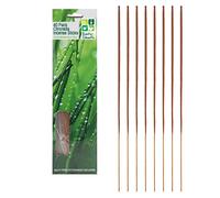 Roots & Shoots 40 Pack Citronella INCENSE STICKS Candles Outdoor Garden Anti Bug Fly Mosquito