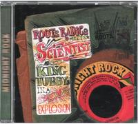Roots Radics Meets Scientist & King Tubby - In A Dub Explosion