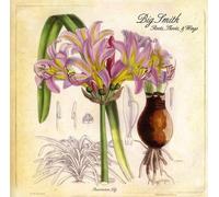 Roots Shoots & Wings