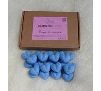 Ropa Limpia Wax Melts | 20x 7g Strong Scented | Luxury Gift Set Wax Melts | Over 100Hrs Burn Time Per Box | Vegan & Pet Friendly | Cruelty & Eco Friendly | Handcrafted UK