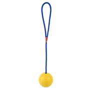 Rope Ball Dog Toy, Bite Resistant Dog Ball, Interactive Pet Ball With Rope, Dog Training Ball, Squeaky Tug Chew Toy, Small Dog Rope Ball Toy, Pet Ball With Rope, Training Chew Ball Fo