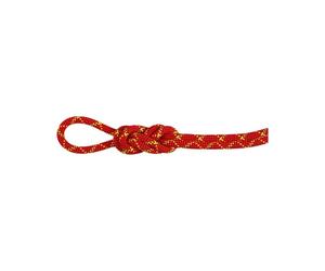 Rope Mammut 8.0 Alpine Core Protect Dry Rope 40m (fire-halo)