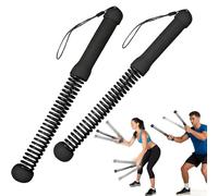Ropeless Battle Rope,Portable Silent Home Workout Equipment,Quiet Cordless Training Rope Fitness Equipment for Women and Men,Portable Cordless Battle Rope for Home&Outdoors,2Pcs(Black)