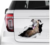 ROPEME Car Sticker 22cm(8.6inches) Brindle Whippet Sticker Brindle Whippet Car Decal Whippet Car Decal Pet Decal Dog Stickers Sticker Funny Decals(Hg1Fs13651)