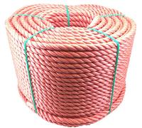 RopeServices UK 10mm Red Polypropylene Rope x 100 Metres, Cheap Nylon Twisted Poly Ropes