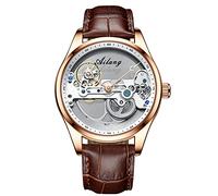 RORIOS Fashion Mens Watches Mechanical Watch with Stainless Steel Band Automatic Self-Winding Wristwatch Waterproof Business Dress Watch for Men